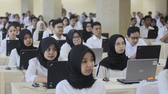 Hasil Seleksi CPNS: Informasi Resmi dari Badan Kepegawaian Negara (BKN)