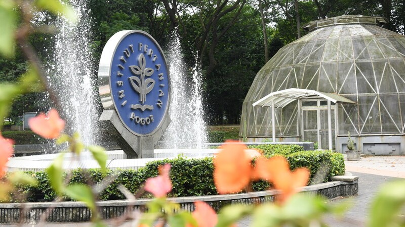 Mengapa Hasil Seleksi IPB 2025 Penting untuk Masa Depan Akademik Anda?