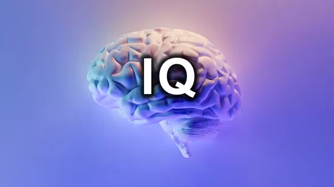 Tes Online IQ vs Tes Kepribadian: Mana yang Lebih Menentukan Masa Depan?