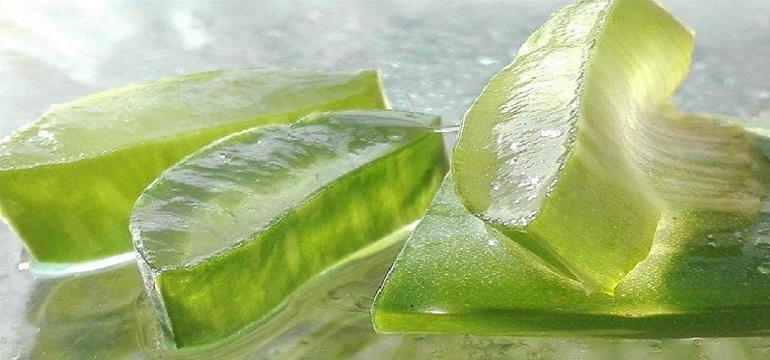Atasi Masalah Kulitmu Dengan Tanaman Alami Aloe Vera