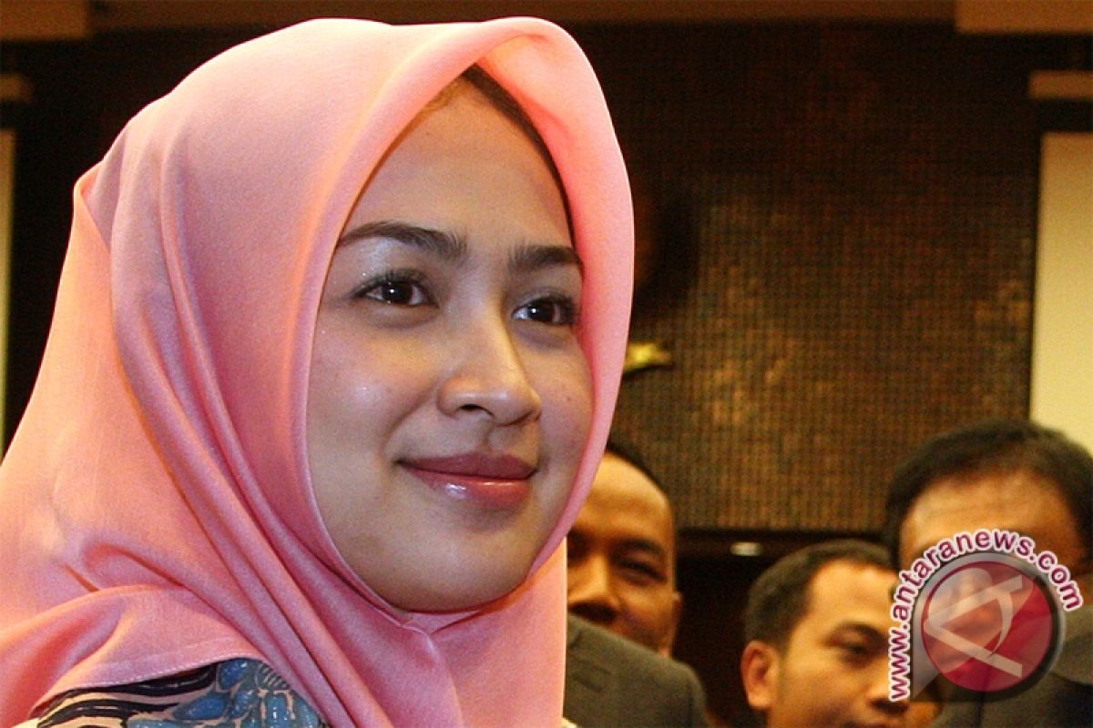 Profil Airin Rachmi Diany