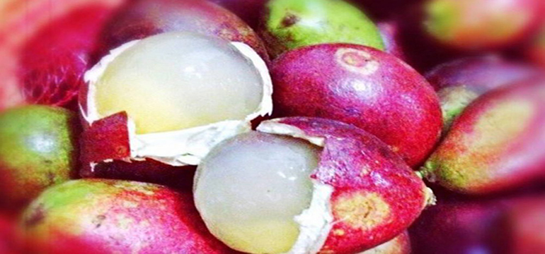 6 Manfaat Buah Matoa yang Masih Jarang Diketahui Orang