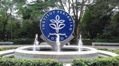 Sistem Penilaian Ujian IPB Apa yang Membedakan dengan Universitas Lain